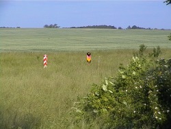Staatgrenze bei Rosow