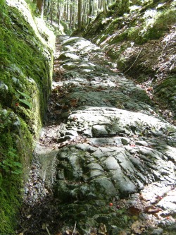 Römerweg